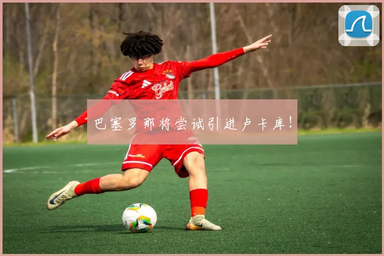巴塞罗那将尝试引进卢卡库！