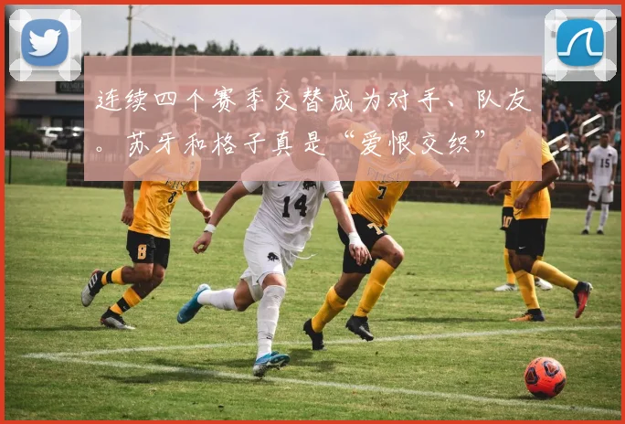 连续四个赛季交替成为对手、队友。苏牙和格子真是“爱恨交织”