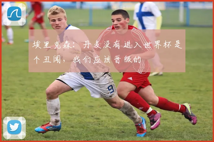 埃里克森：丹麦没有进入世界杯是个丑闻，我们应该晋级的