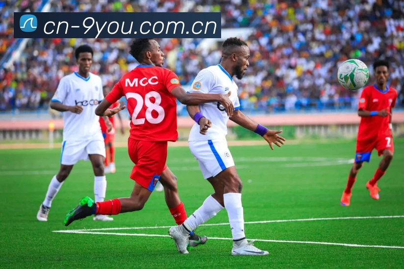 多媒体互动体验